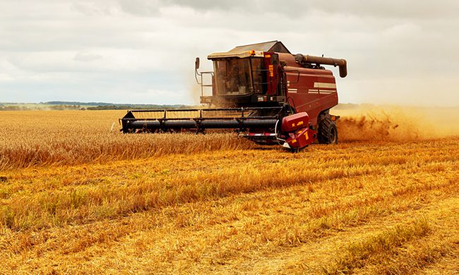 Agriculture